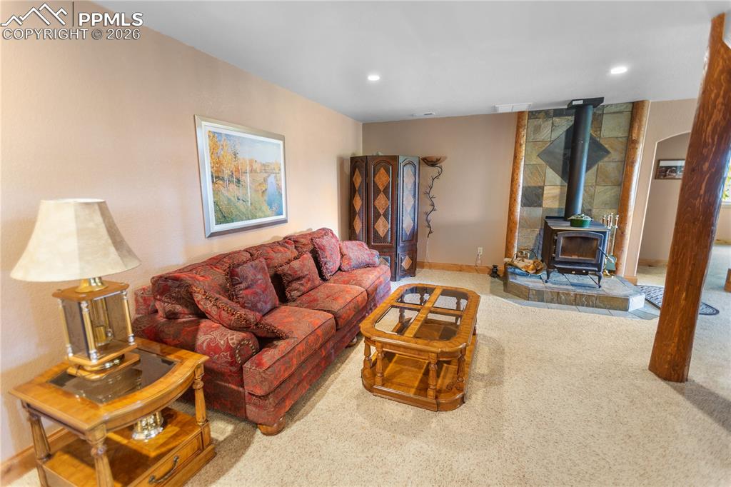 610 Cochetopa Road Florissant, CO 80816 - Photo 21 of 40 Lower level family