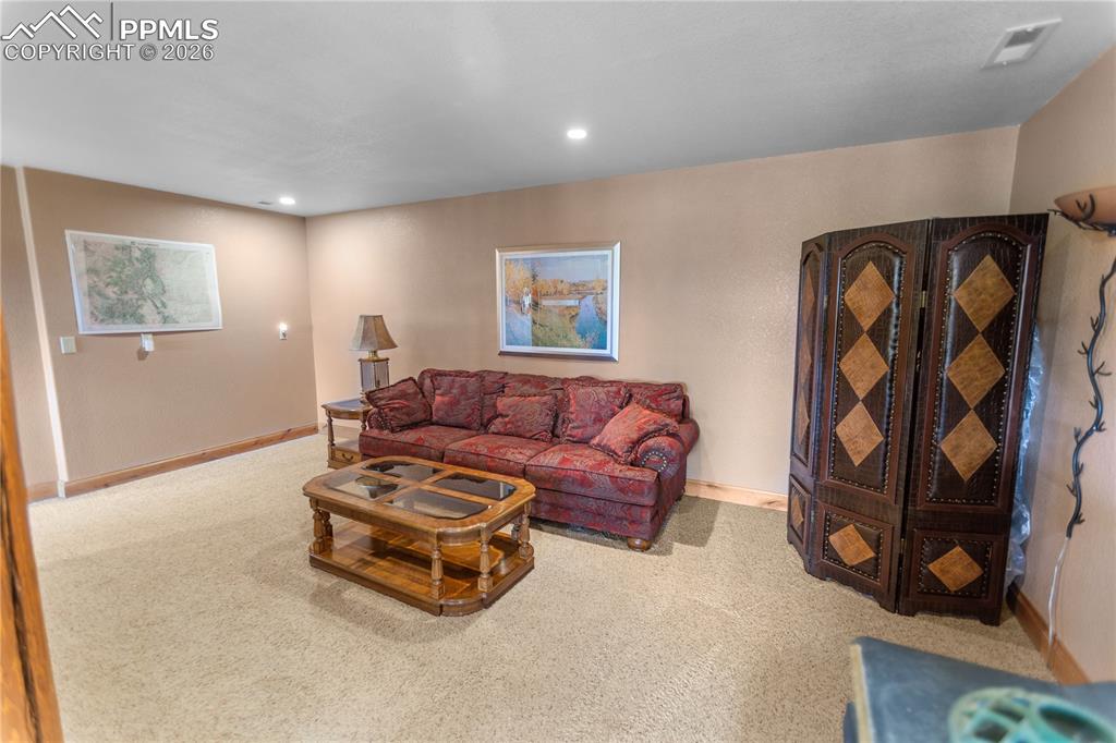 610 Cochetopa Road Florissant, CO 80816 - Photo 22 of 40 Lower level family