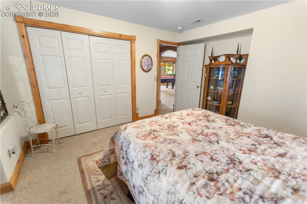 610 Cochetopa Road Florissant, CO 80816 - Photo 27 of 40 Lower level bedroom 3
