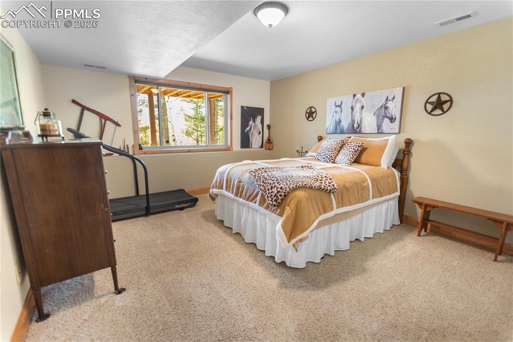 610 Cochetopa Road Florissant, CO 80816 - Photo 28 of 40 Lower level bedroom 4