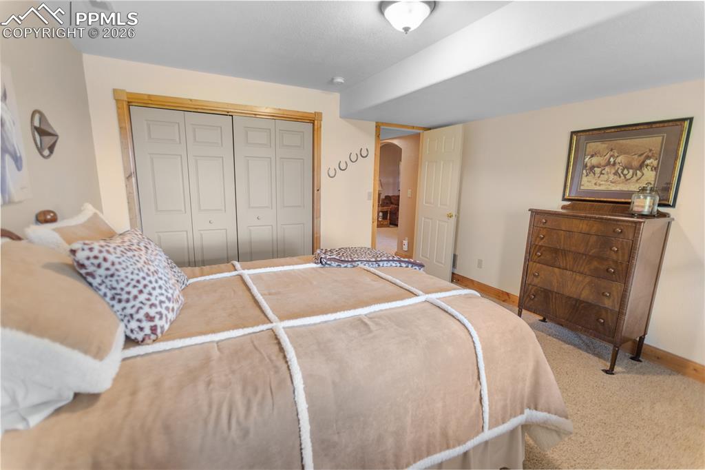 610 Cochetopa Road Florissant, CO 80816 - Photo 29 of 40 Lower level bedroom 4