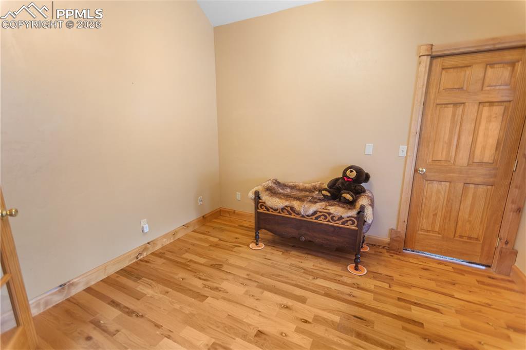 610 Cochetopa Road Florissant, CO 80816 - Photo 39 of 40 Main level office -un-staged