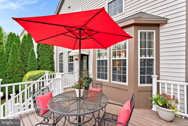 a view of a garden with plants