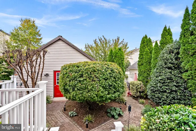 a view of a back yard