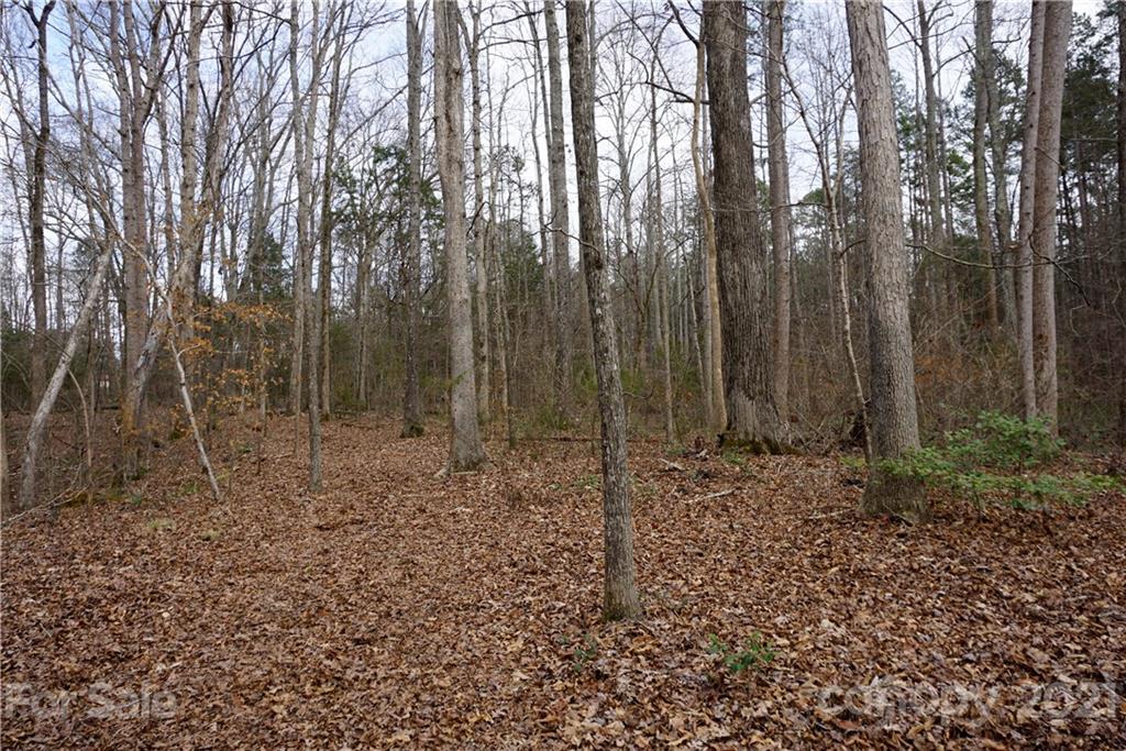 1.05 Burree Road Clover, SC 29710 - Photo 2 of 4 Gallery Image 2
