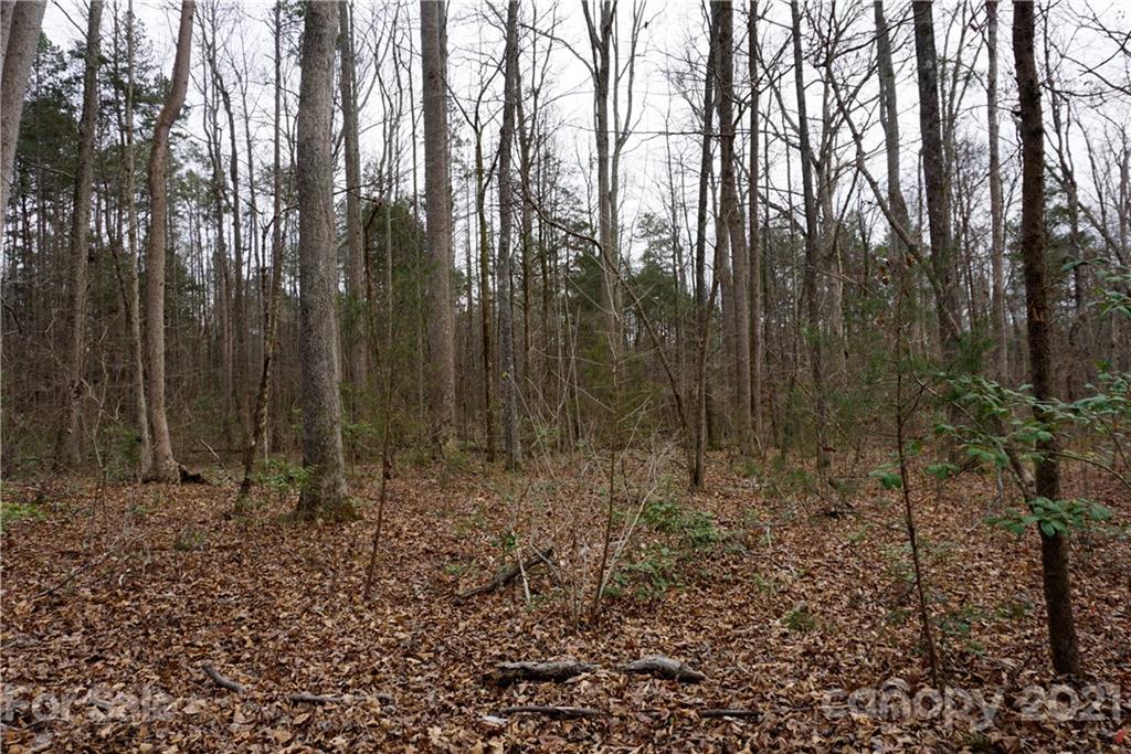 1.05 Burree Road Clover, SC 29710 - Photo 3 of 4 Gallery Image 3