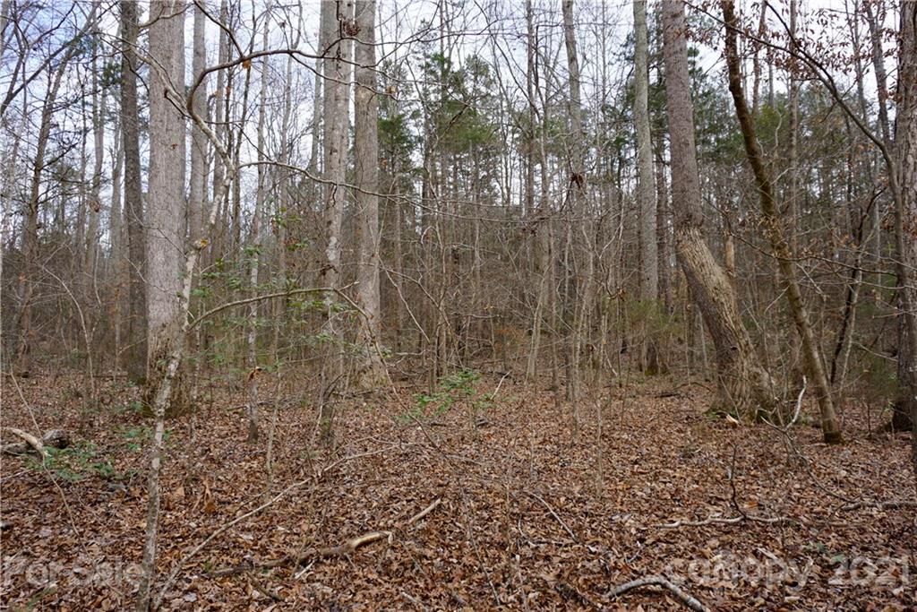 1.05 Burree Road Clover, SC 29710 - Photo 4 of 4 Gallery Image 4