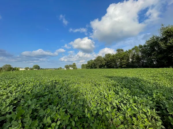 $66,000 | Lot 9 Sunset Trace, Tomah, WI 54660