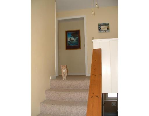 87 Forest Road Salisbury, MA 01952 - Photo 4 of 14 a view of a hallway with wooden floor