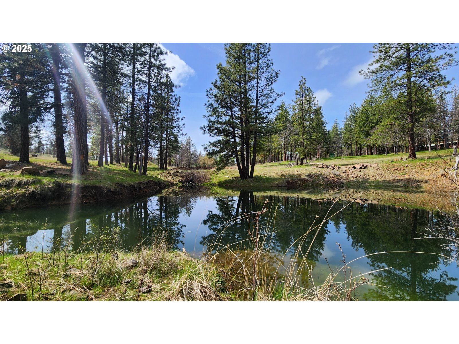 447 Old Mountain Road Goldendale, WA 98620 - Photo 1 of 25 Gallery Image 1