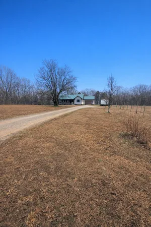 a view of a yard