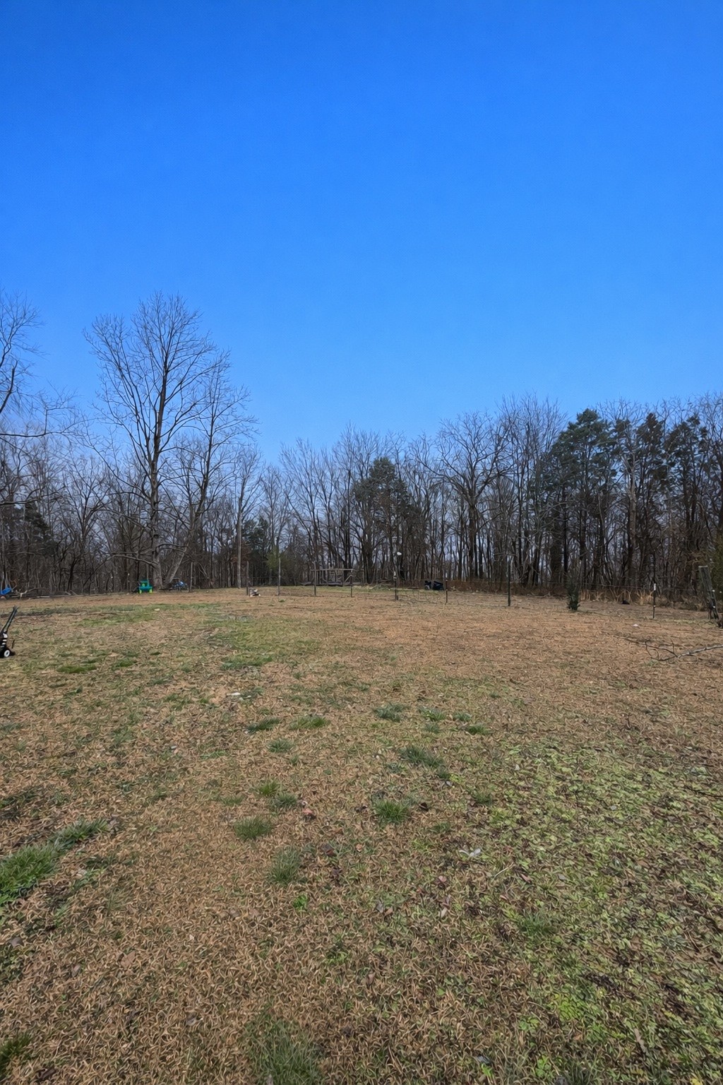 2813 She Boss Road Duck River, TN 38454 - Photo 4 of 21 a view of a yard