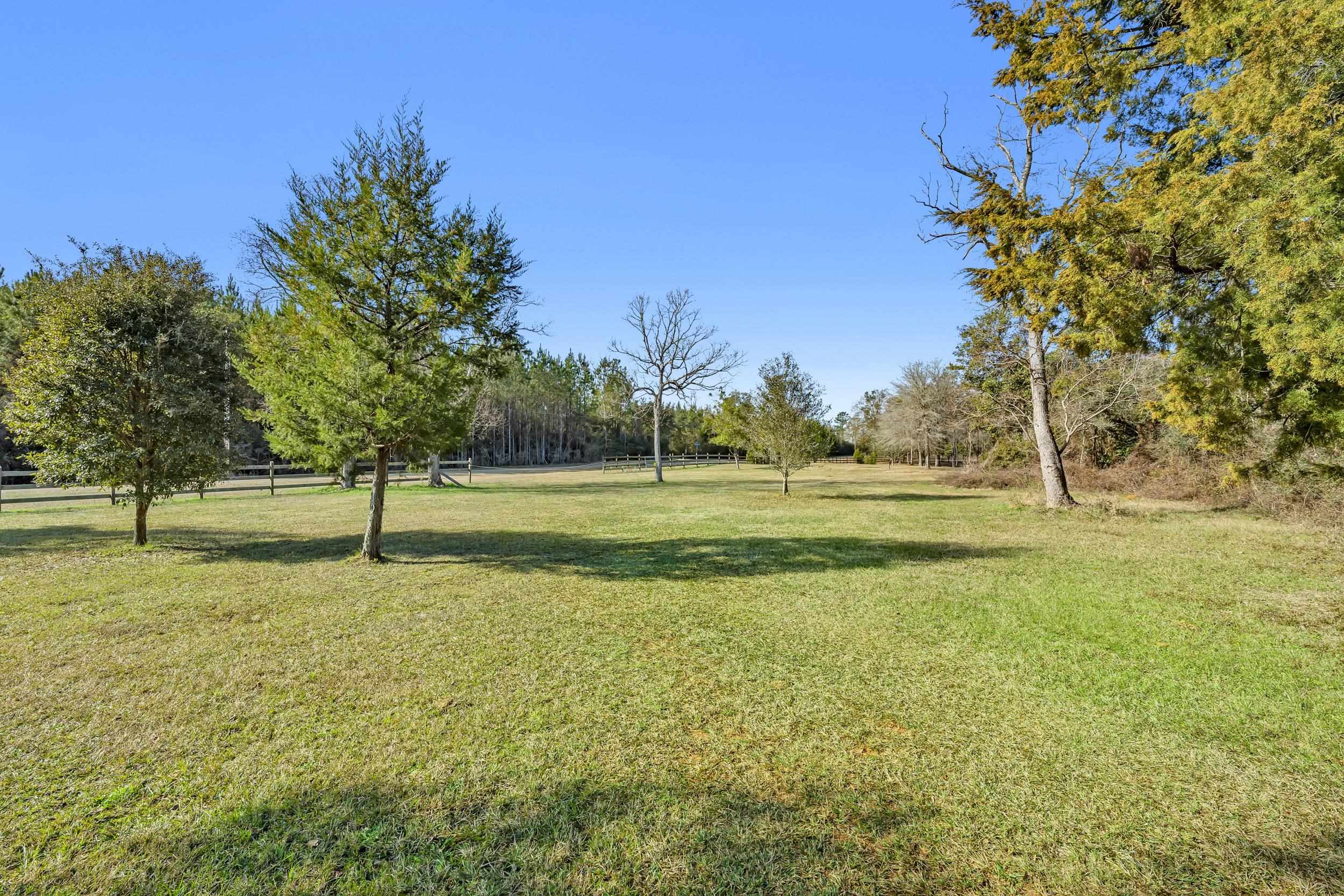 16691 Mosley Road Stapleton, AL 36578 - Photo 11 of 32 Yard