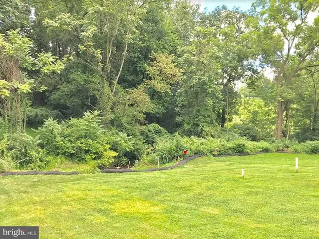 a view of a yard with an outdoor space