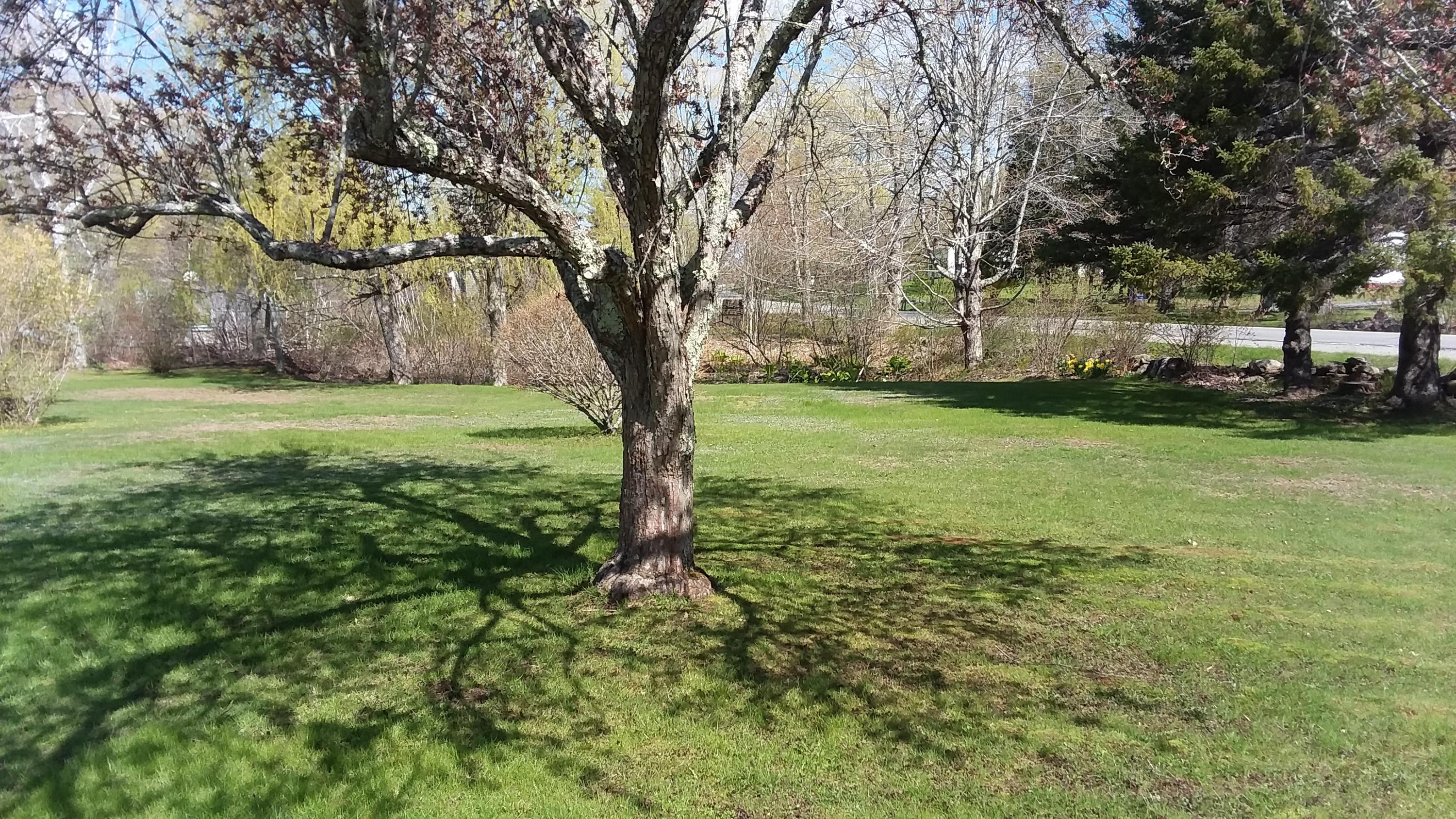 639 Oyster River Road Warren, ME 04864 - Photo 12 of 23 20190516_094344