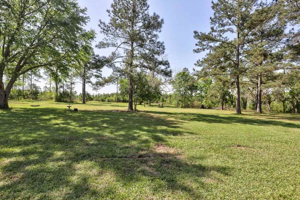 2000 Luten Road Quincy, FL 32352 - Photo 6 of 36 Gallery Image 6