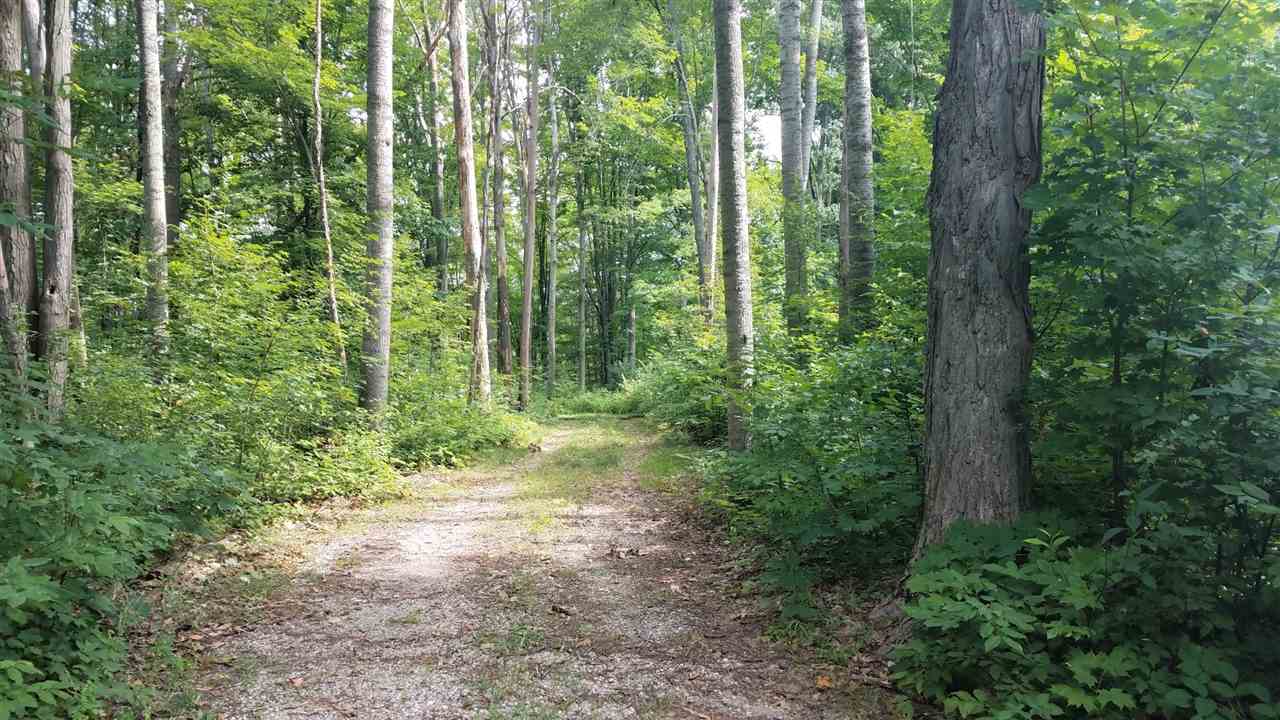 16756 Acorn Ridge Beulah, MI 49617 - Photo 1 of 12 1878253.JPG
