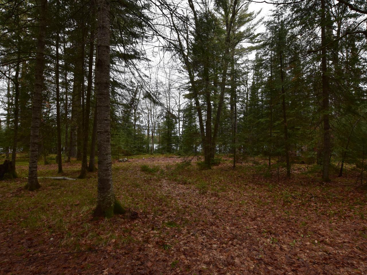 2050 South Anvil Lake Road Eagle River, WI 54521 - Photo 22 of 37 Gallery Image 22