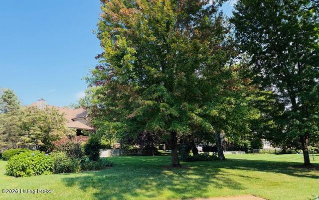 703 Foxgate Road Louisville, KY 40223 - Photo 30 of 32 IMG_2590