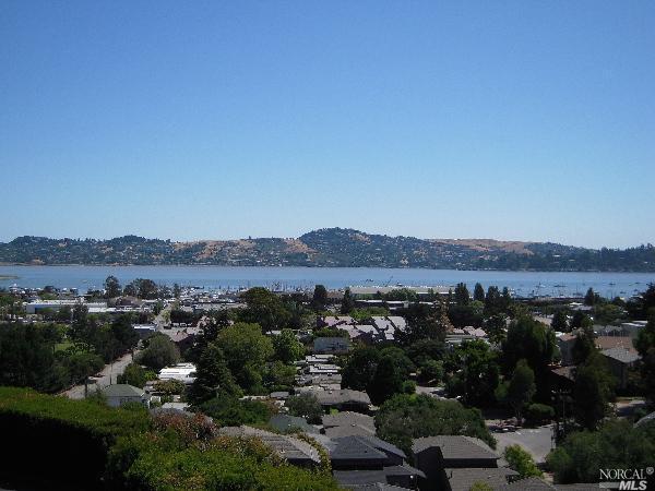 36 Anchorage Road Sausalito, CA 94965 - Photo 1 of 1 an aerial view of residential house and green space