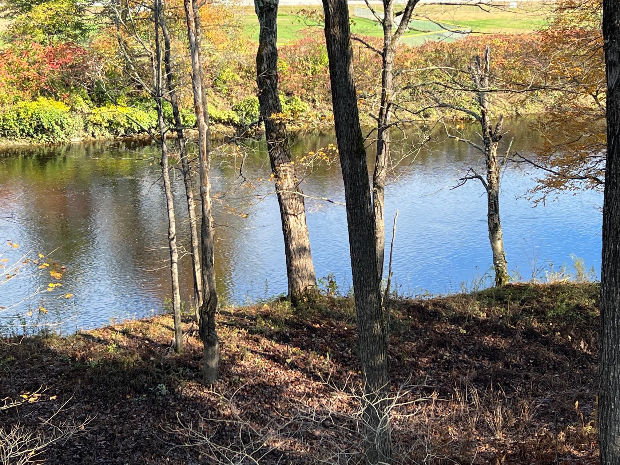18 Riverside Terrace Guilford, ME 04443 - Photo 3 of 32 3