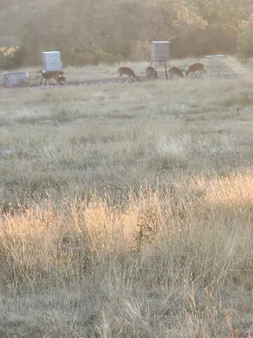 a view of outdoor space and mountain view