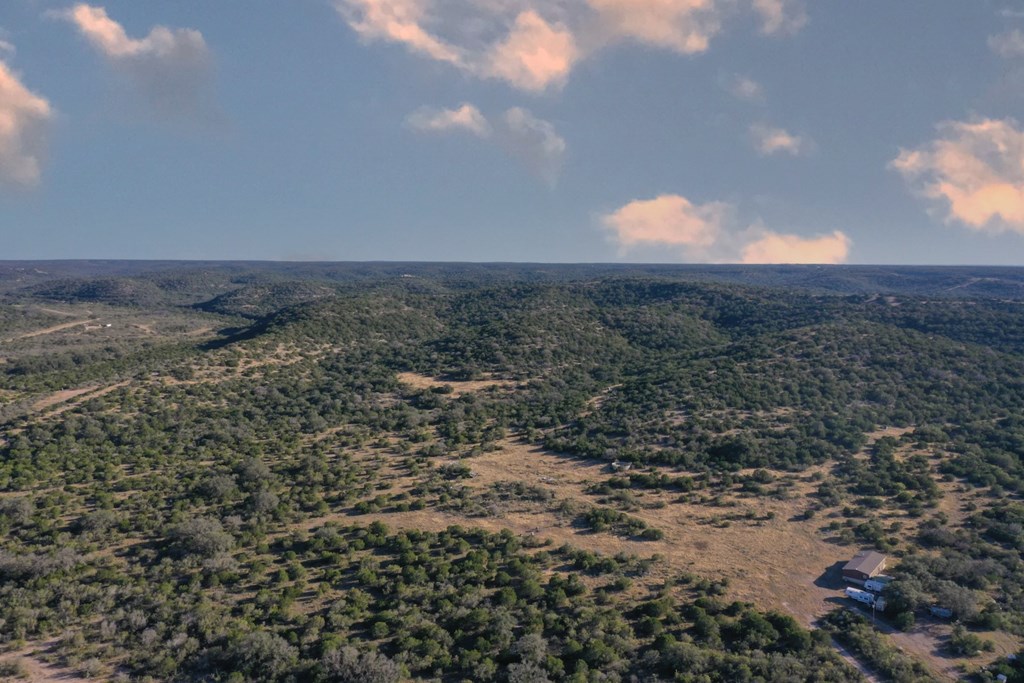 Undisclosed Address Rocksprings, TX 78880 - Photo 6 of 34 a view of a dry yard with lots of trees