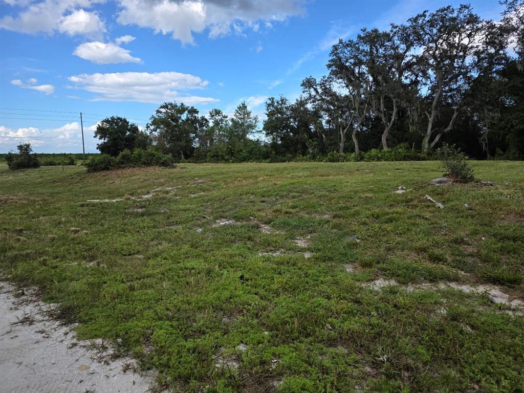 500 North Barrie Road Avon Park, FL 33825 - Photo 1 of 8 Gallery Image 1