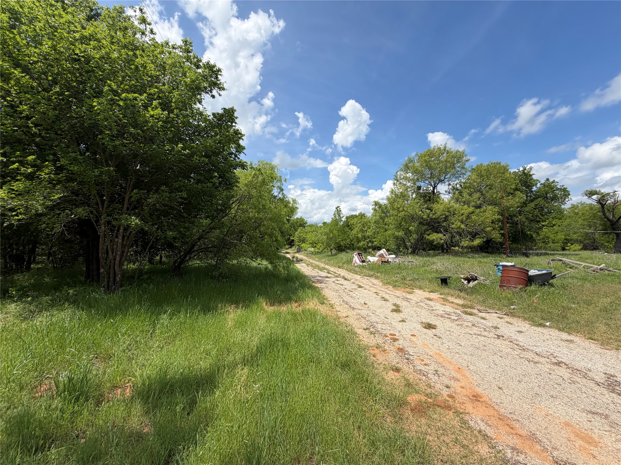 0 College Street Mingus, TX 76463 - Photo 2 of 4