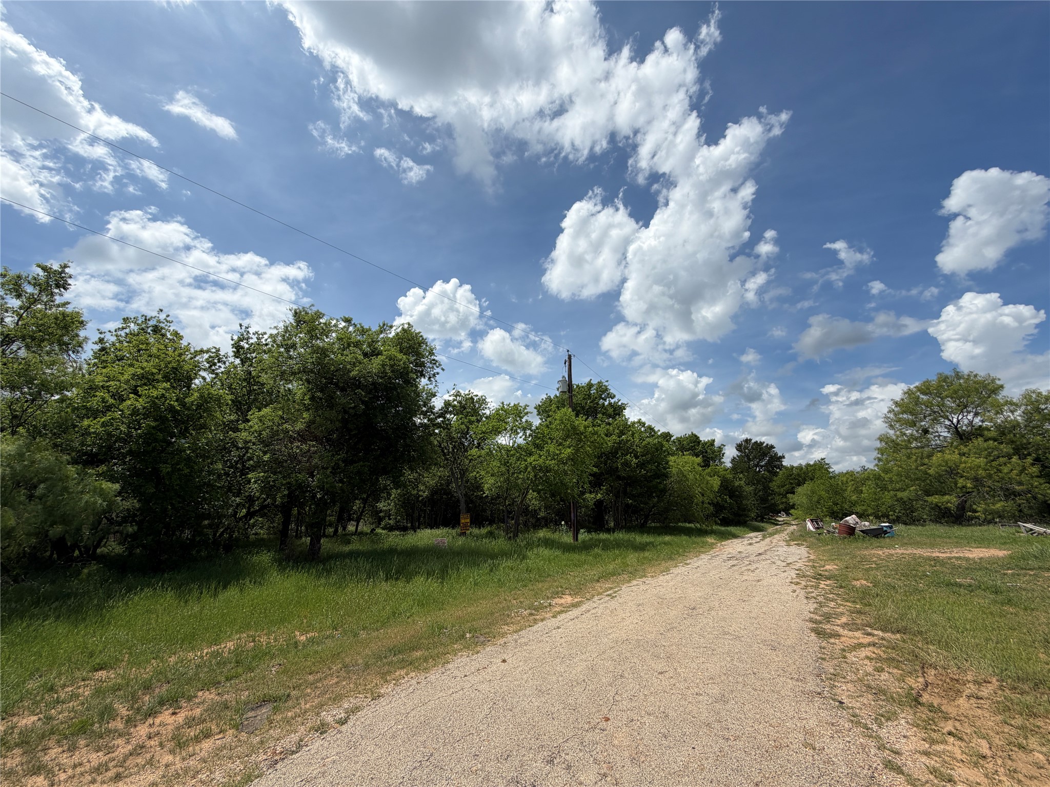 0 College Street Mingus, TX 76463 - Photo 3 of 4