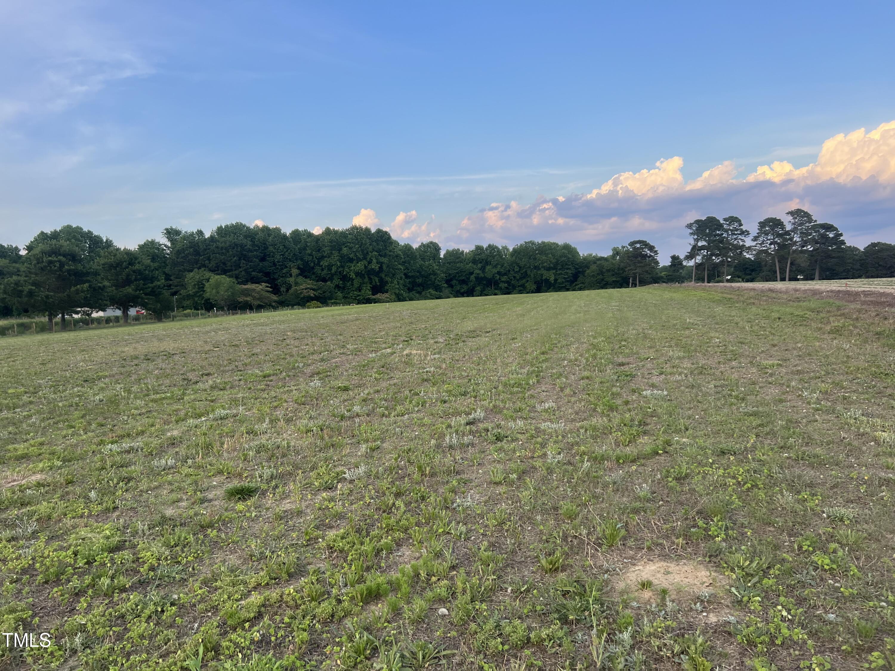 1755 Parker Road Four Oaks, NC 27524 - Photo 3 of 4 from west side