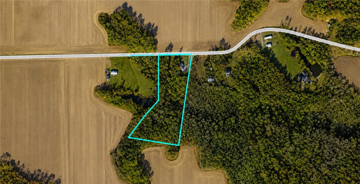25030 East Fishback Road Marshall, IL 62441 - Photo 6 of 39