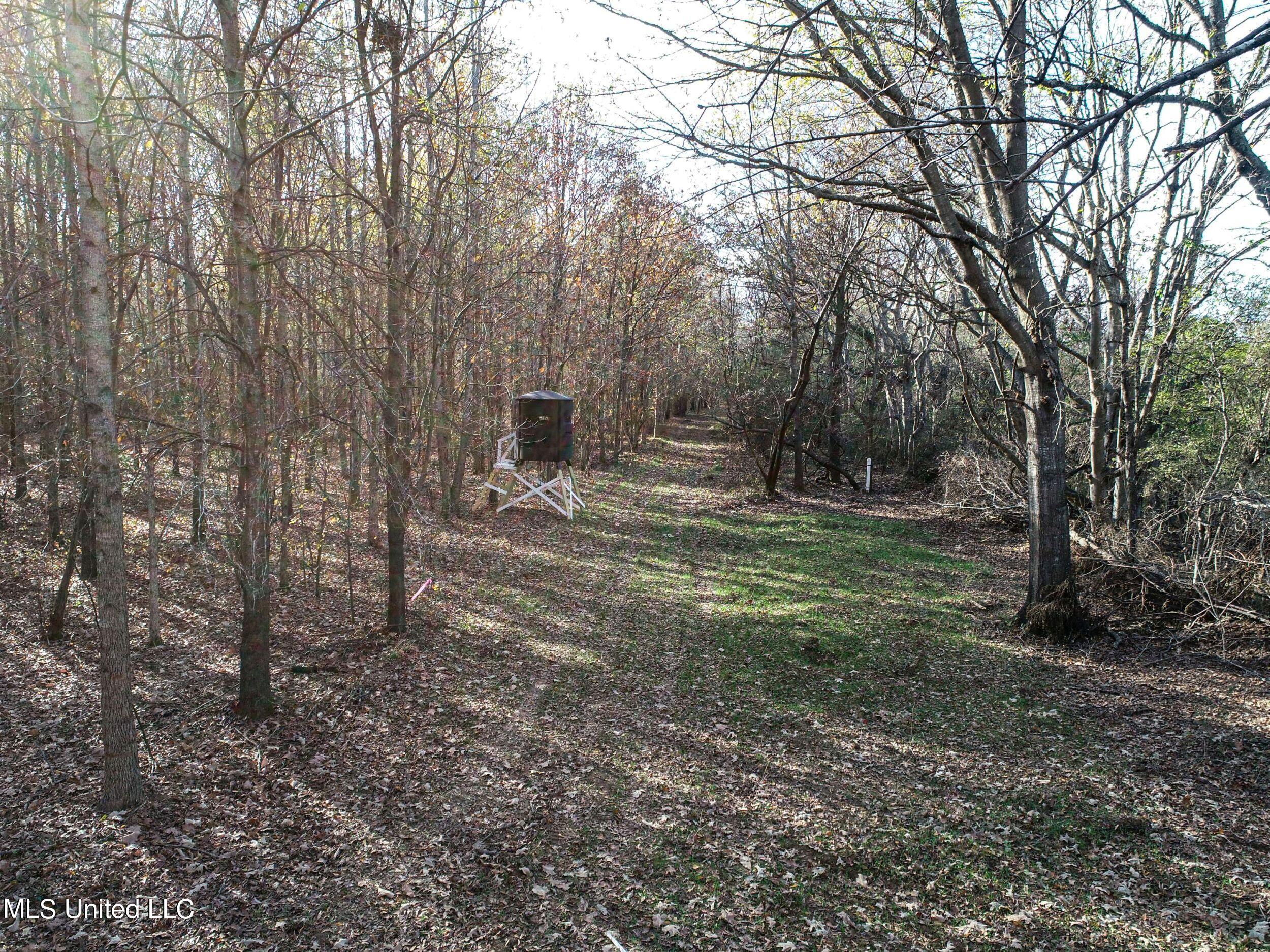 1275 Macedonia Road Batesville, MS 38606 - Photo 54 of 144 3macd9040
