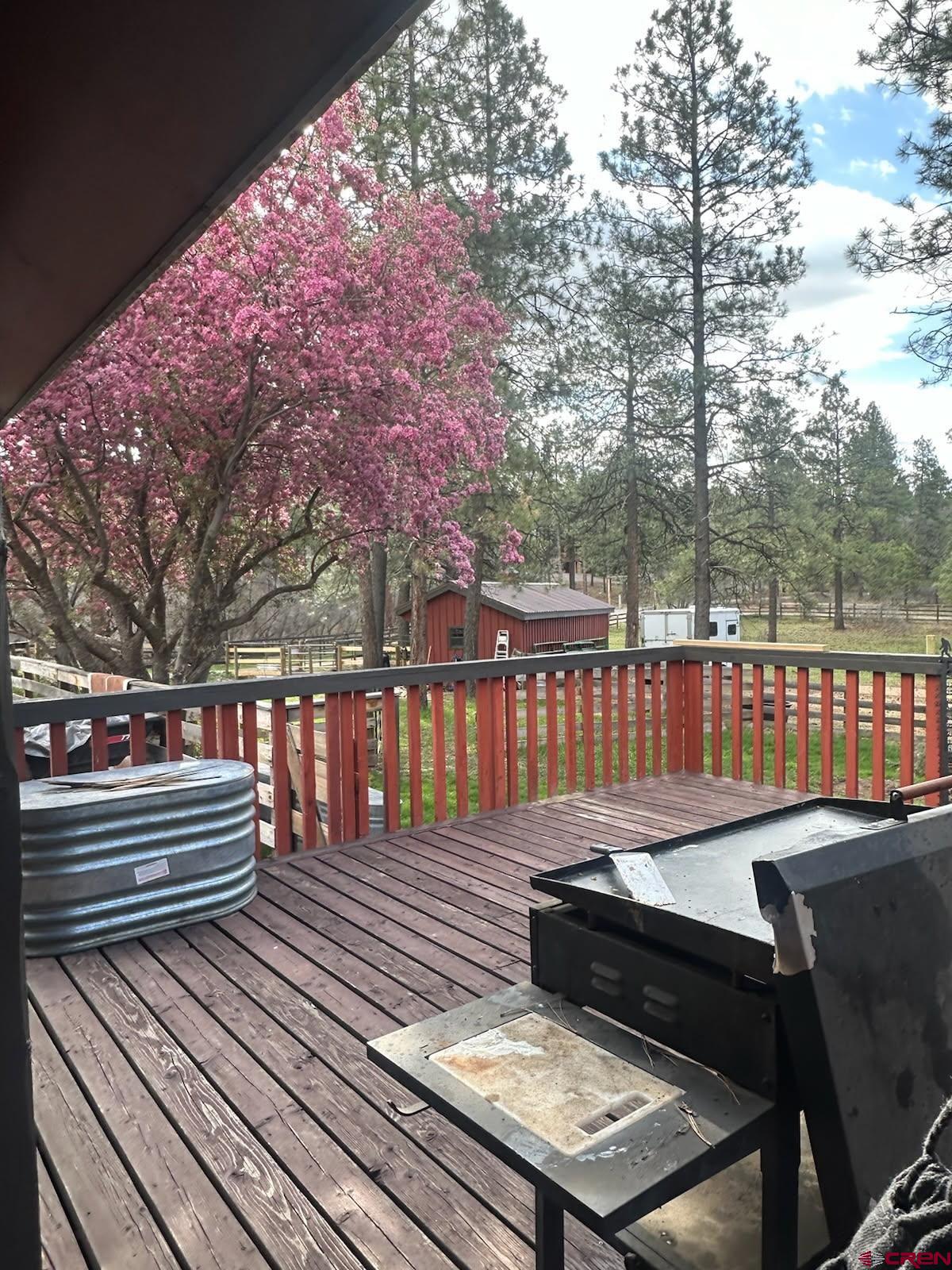 513 West Log Hill Road Pagosa Springs, CO 81147 - Photo 5 of 20
