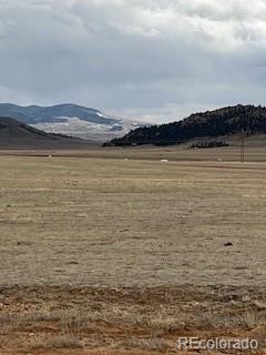 5251 Summit Road Hartsel, CO 80449 - Photo 4 of 14