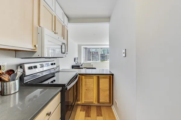 $239,000 | 211 East Ohio Street, Unit 2817, Chicago, IL 60611