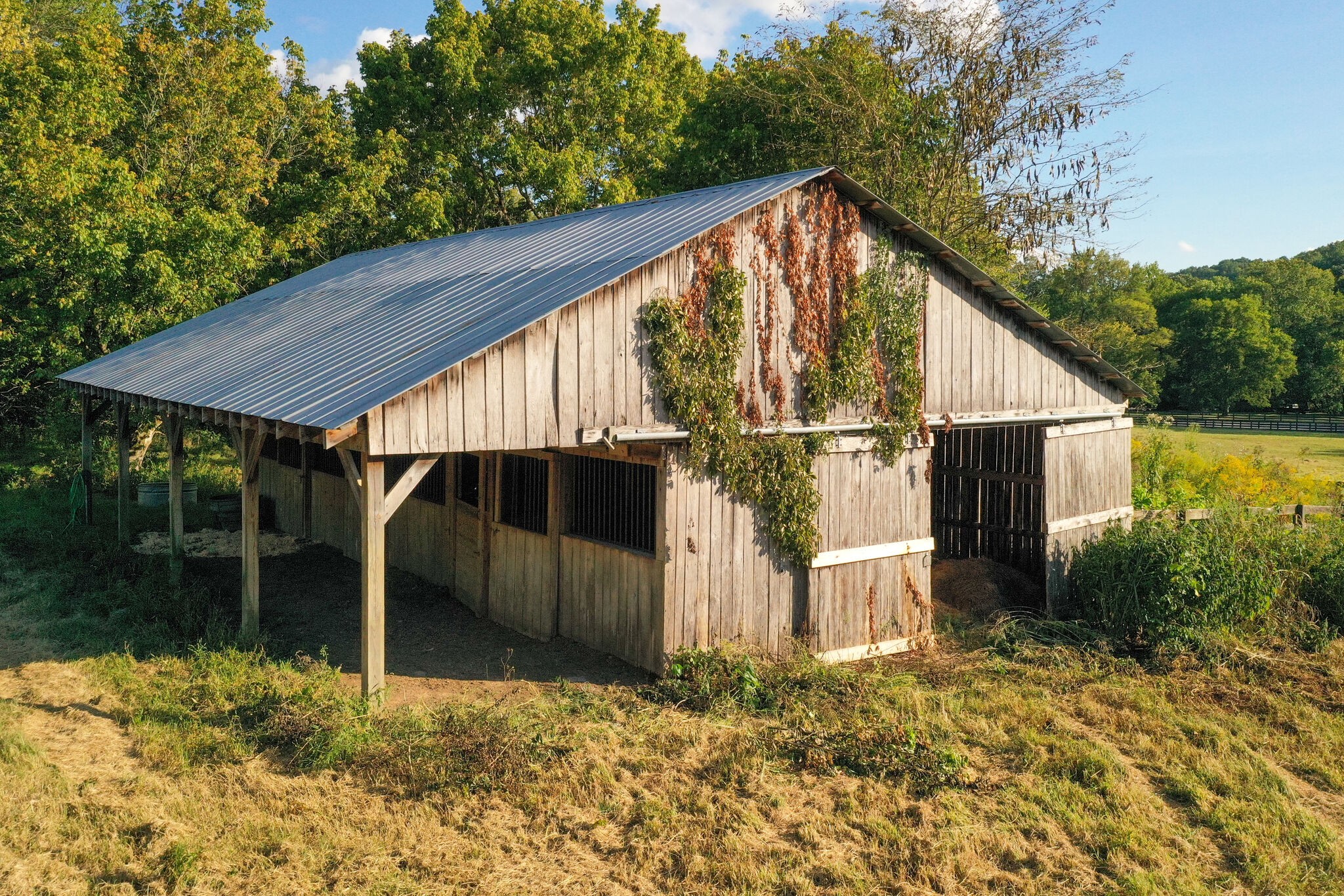 6484 Temple Road Franklin, TN 37069 - Photo 62 of 66