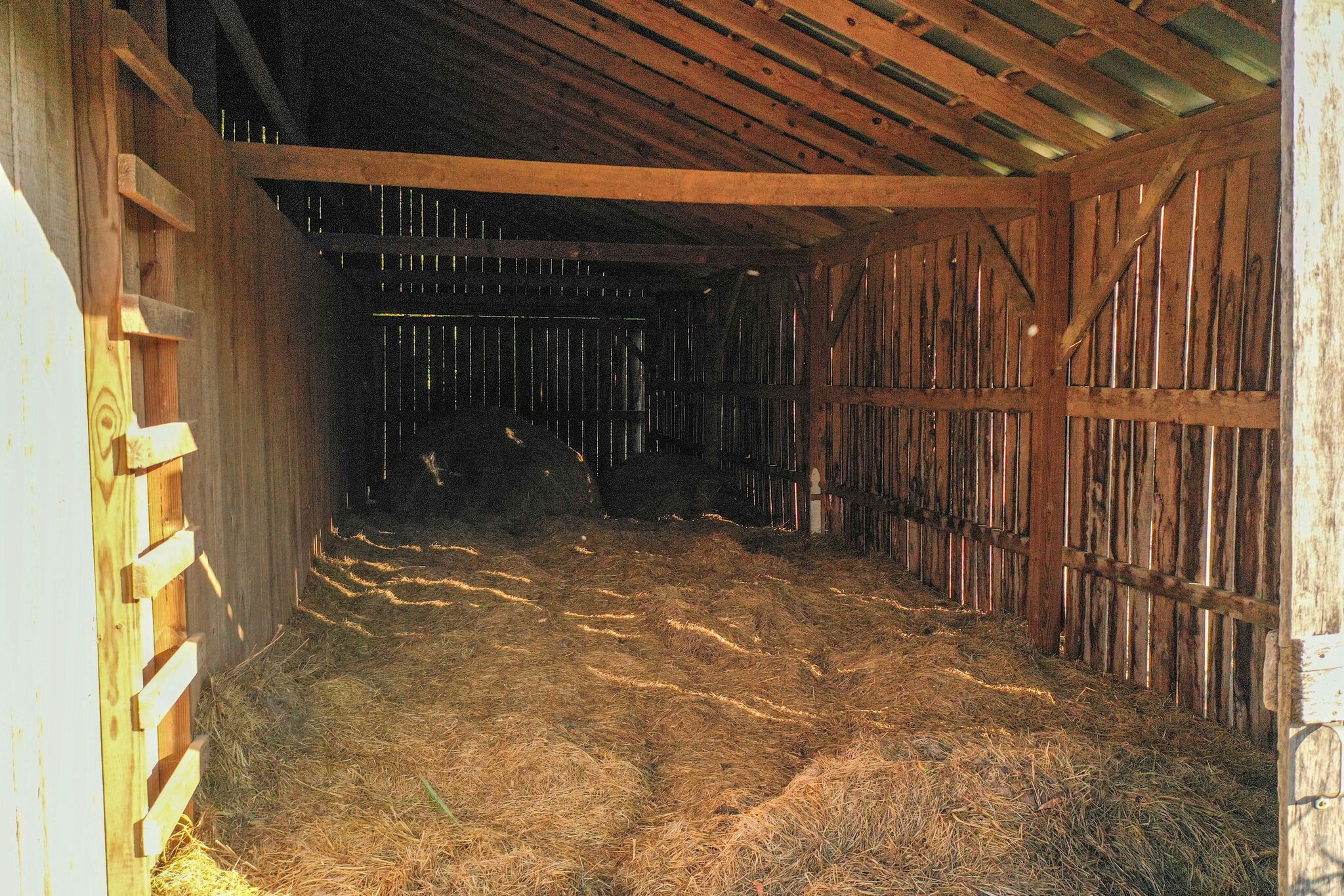 6484 Temple Road Franklin, TN 37069 - Photo 63 of 66