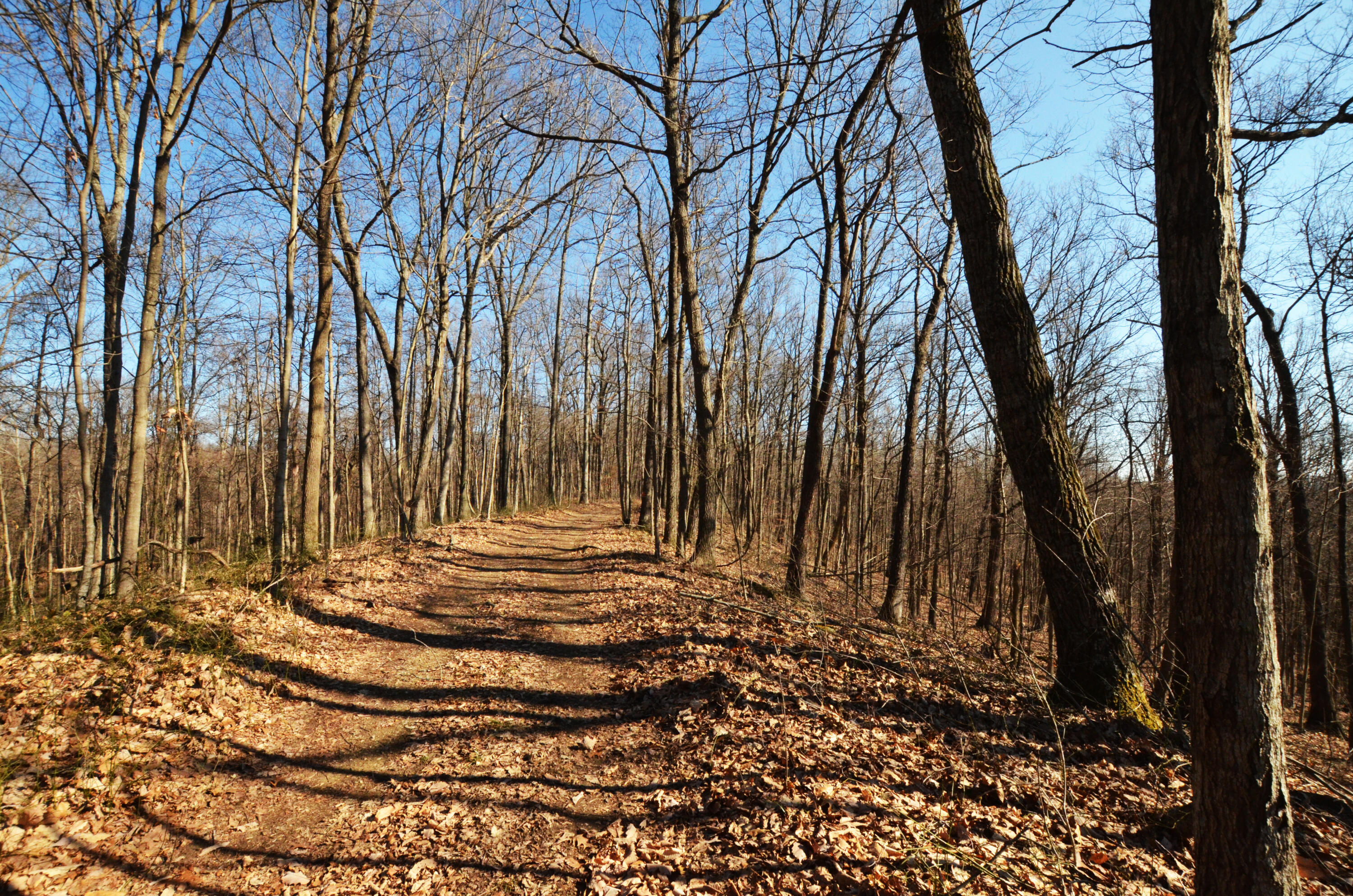 9999 Wagers Mountain Road Ravenna, KY 40472 - Photo 22 of 50 Road!