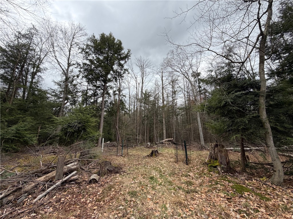 Pritchard Road Springville, NY 14141 - Photo 14 of 23