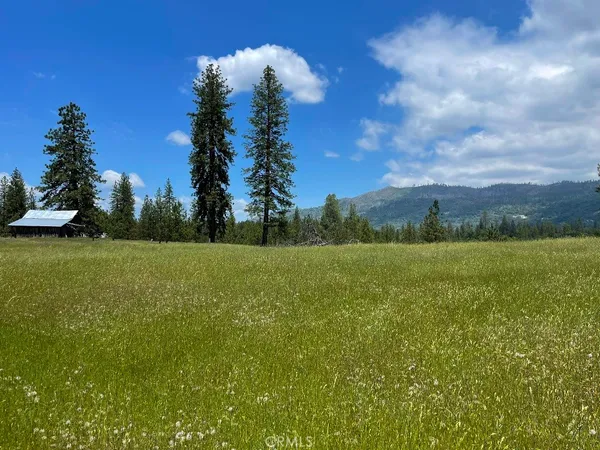 a view of a green field with trees in the background