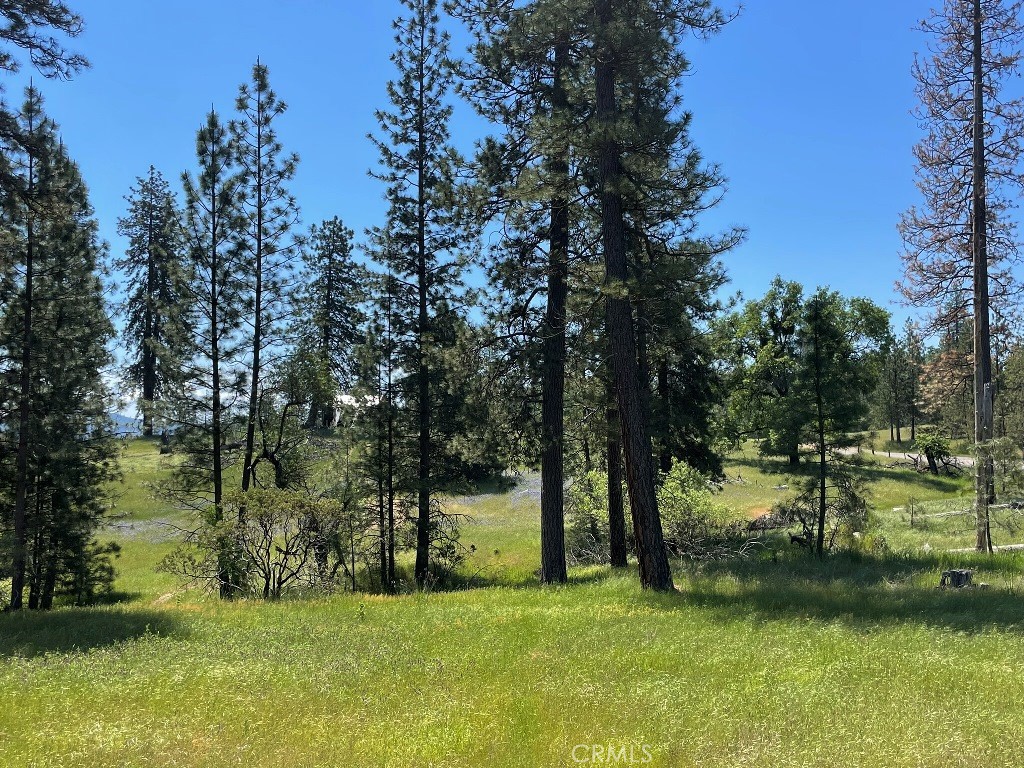 2964 Triangle Road Mariposa, CA 95338 - Photo 11 of 23 a view of a park