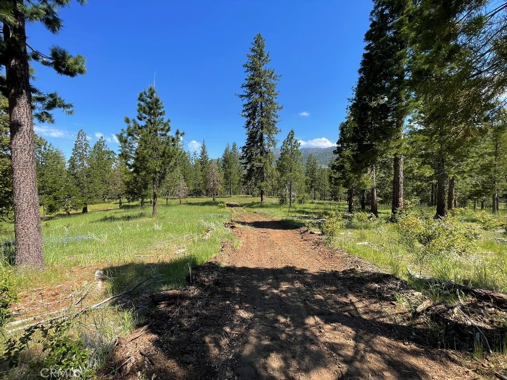 2964 Triangle Road Mariposa, CA 95338 - Photo 14 of 23 a view of a lake with trees