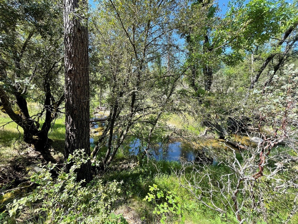 2964 Triangle Road Mariposa, CA 95338 - Photo 15 of 23 a view of a lush green forest