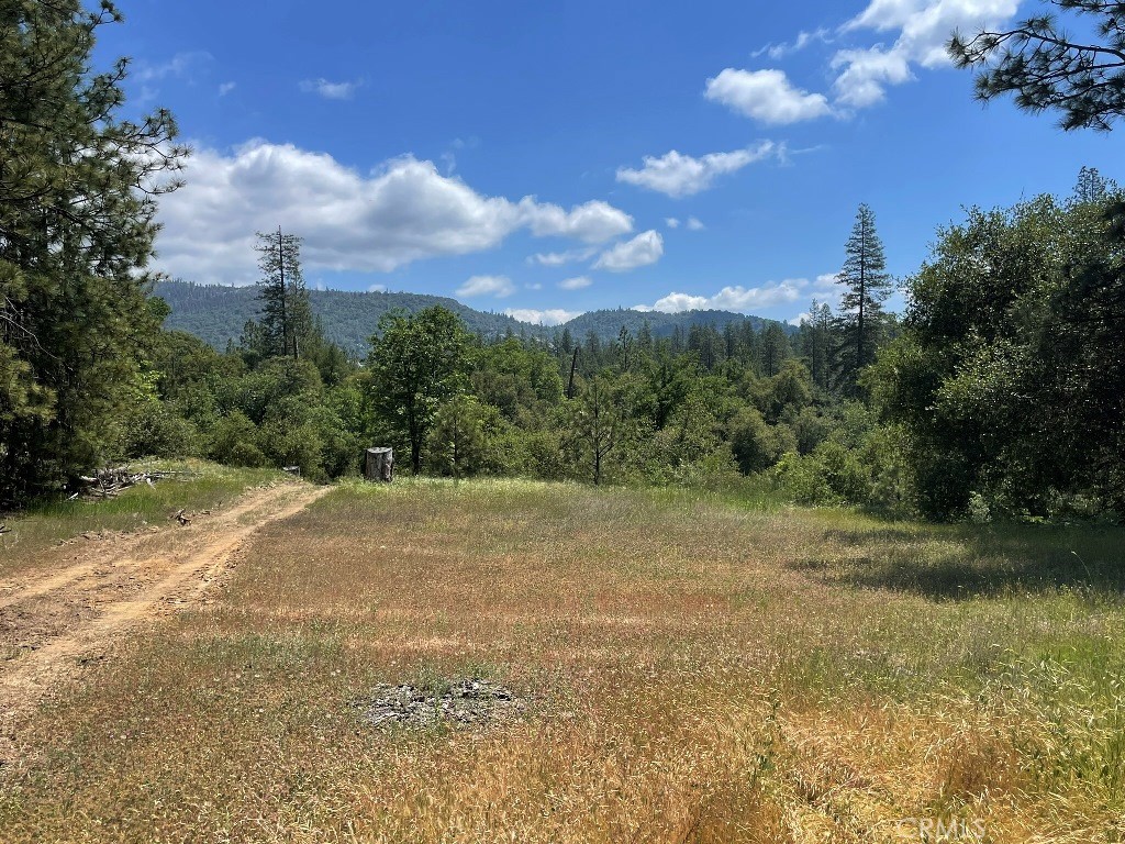 2964 Triangle Road Mariposa, CA 95338 - Photo 18 of 23 a view of a field with trees in the background