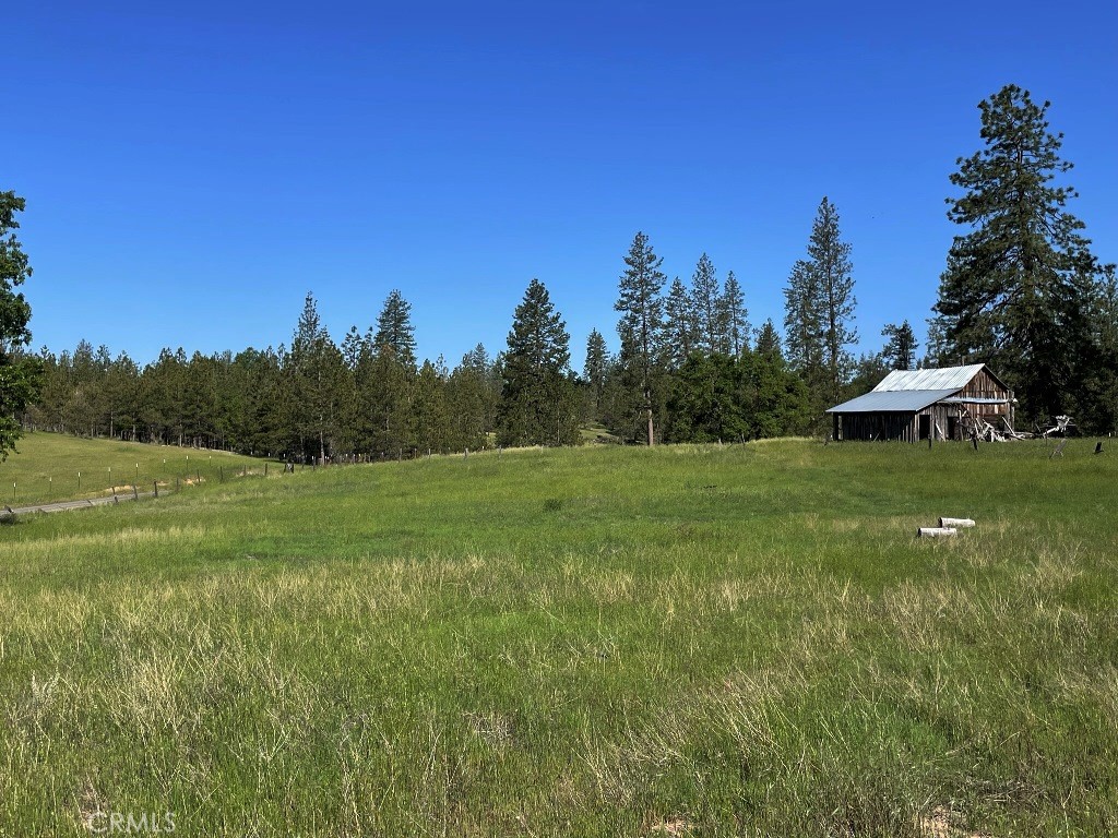 2964 Triangle Road Mariposa, CA 95338 - Photo 19 of 23