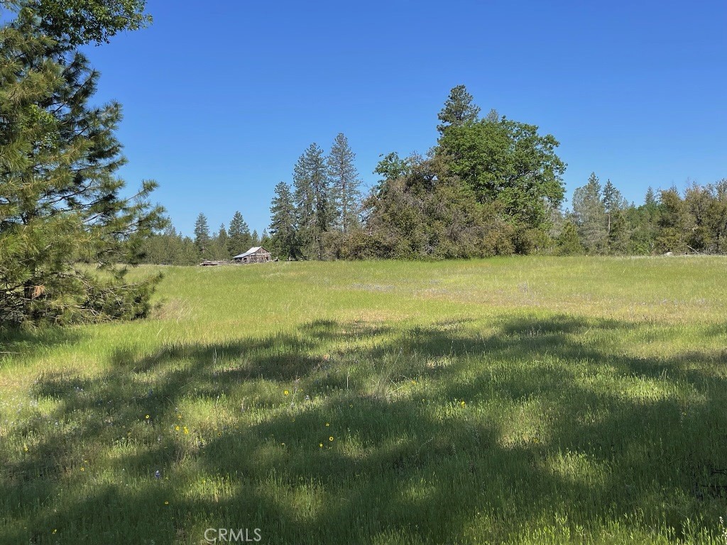 2964 Triangle Road Mariposa, CA 95338 - Photo 2 of 23 a view of yard and trees