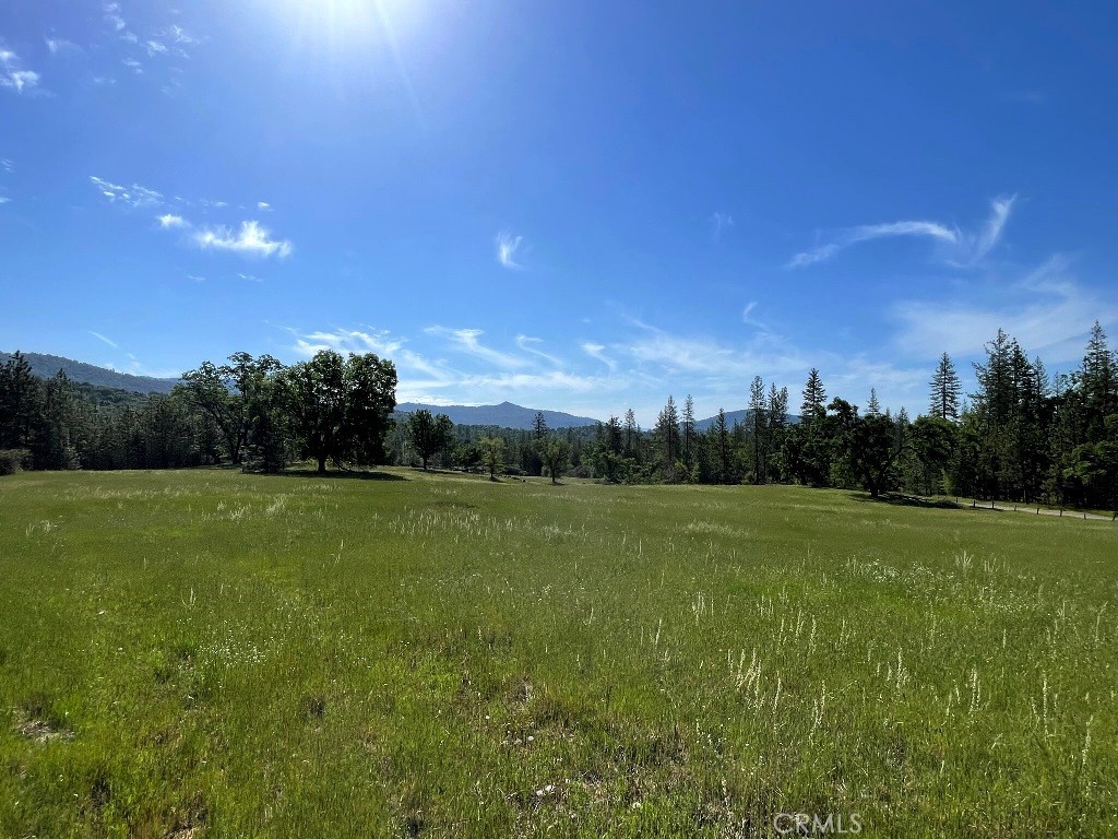 2964 Triangle Road Mariposa, CA 95338 - Photo 22 of 23 a view of field with grass and yard