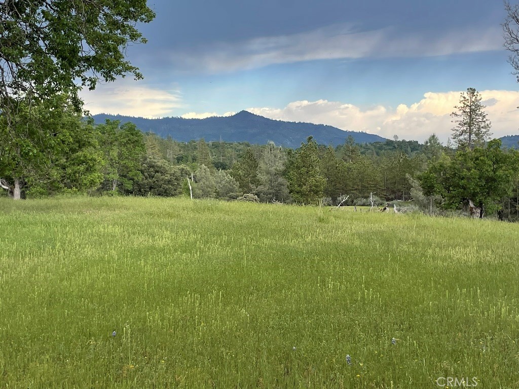 2964 Triangle Road Mariposa, CA 95338 - Photo 5 of 23 a view of a lush green hillside and a houses
