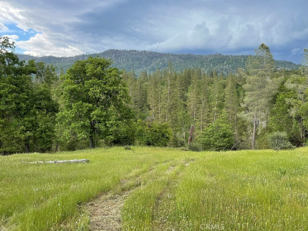 2964 Triangle Road Mariposa, CA 95338 - Photo 6 of 23 a view of an outdoor space and a yard